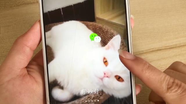 [微信小白泽朋友圈清理]，通过微信找qq账号