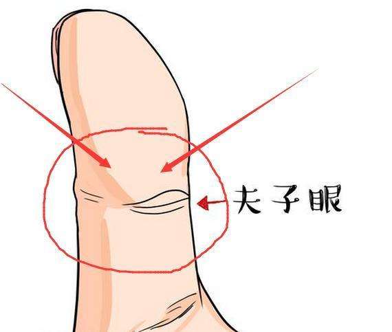 小指过三关，人逢绝处也能生，将来必定有大出息的手相