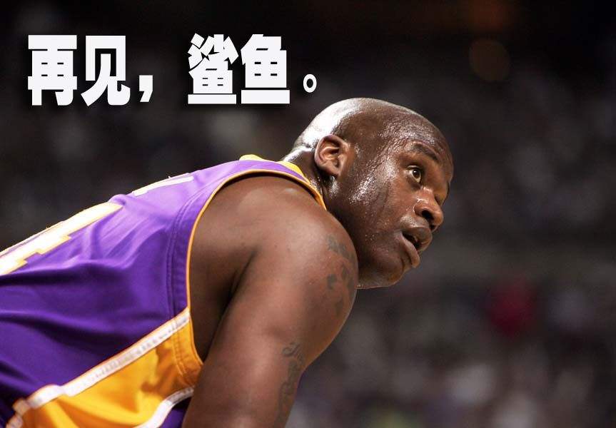 nba里哪些球员外号是动物(NBA用动物起绰号的6大球星，科比就像一只毒蛇需敬而远之！)