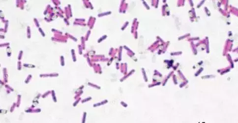 专业防水补漏，自动修复修楼房漏水！