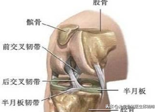 nba哪些球星韧带断裂(nba某球星左膝十字韧带撕裂，运动中要学会保护自己)