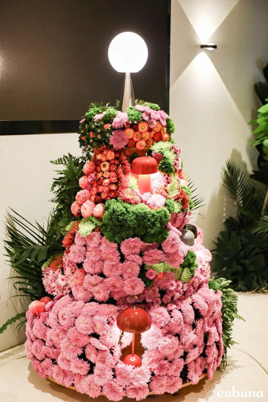 RR · NEWS | 2020年末，热点持续加速中