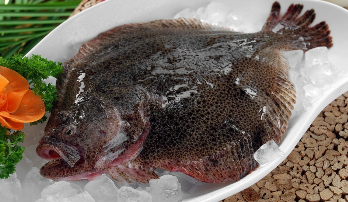 爱吃多宝鱼的一定要收藏教你各种简单美味的做法好吃极了