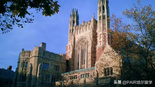 丰收季 | 春天来了，老朋友耶鲁也如期而至