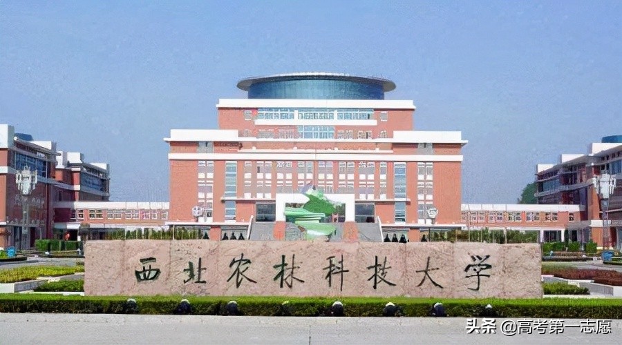 第二轮双一流大学评选，水平低还不担心“出局”的大学是哪所？