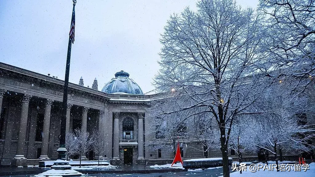 丰收季 | 春天来了，老朋友耶鲁也如期而至