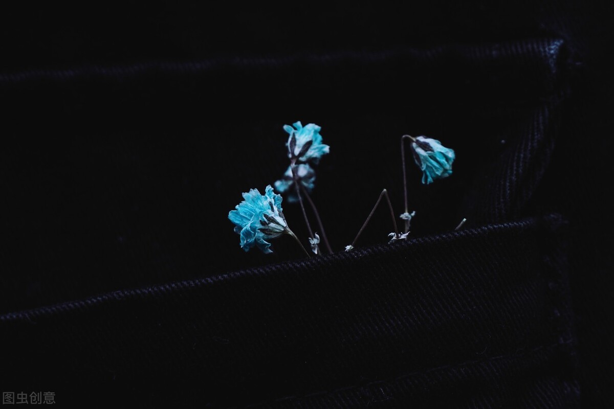 酒后最适合发朋友圈的惊艳文案，最后一个小编最喜欢