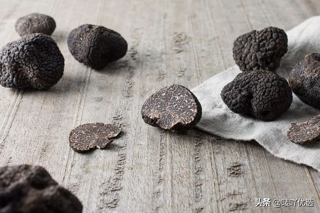 奇幻食材"黑松露" 餐桌上的黑钻石!