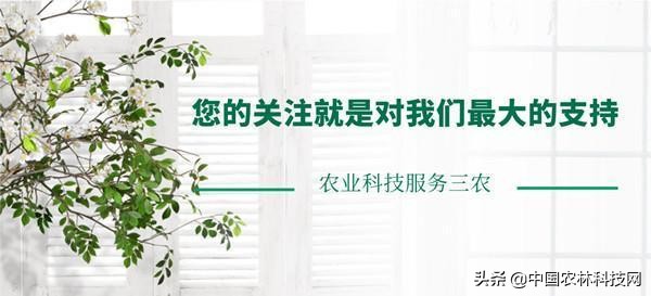 2019第二屆河北農(nóng)業(yè)機械展覽會將于7月在滄州舉辦