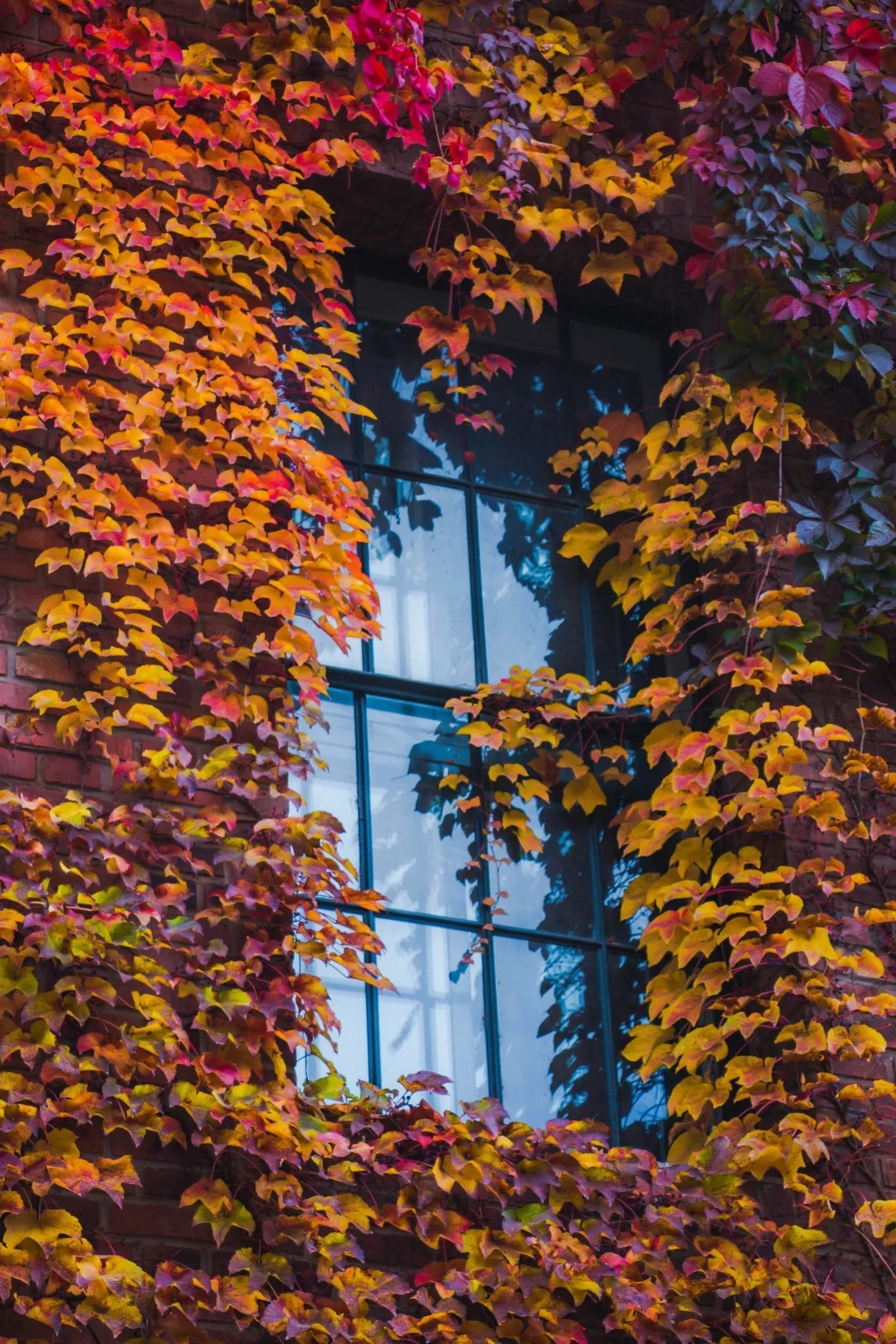 “中国”一词从哪里来？快去清华大学这个地方看答案