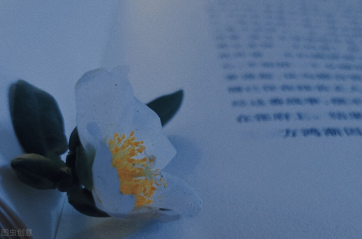 酒后最适合发朋友圈的惊艳文案，最后一个小编最喜欢