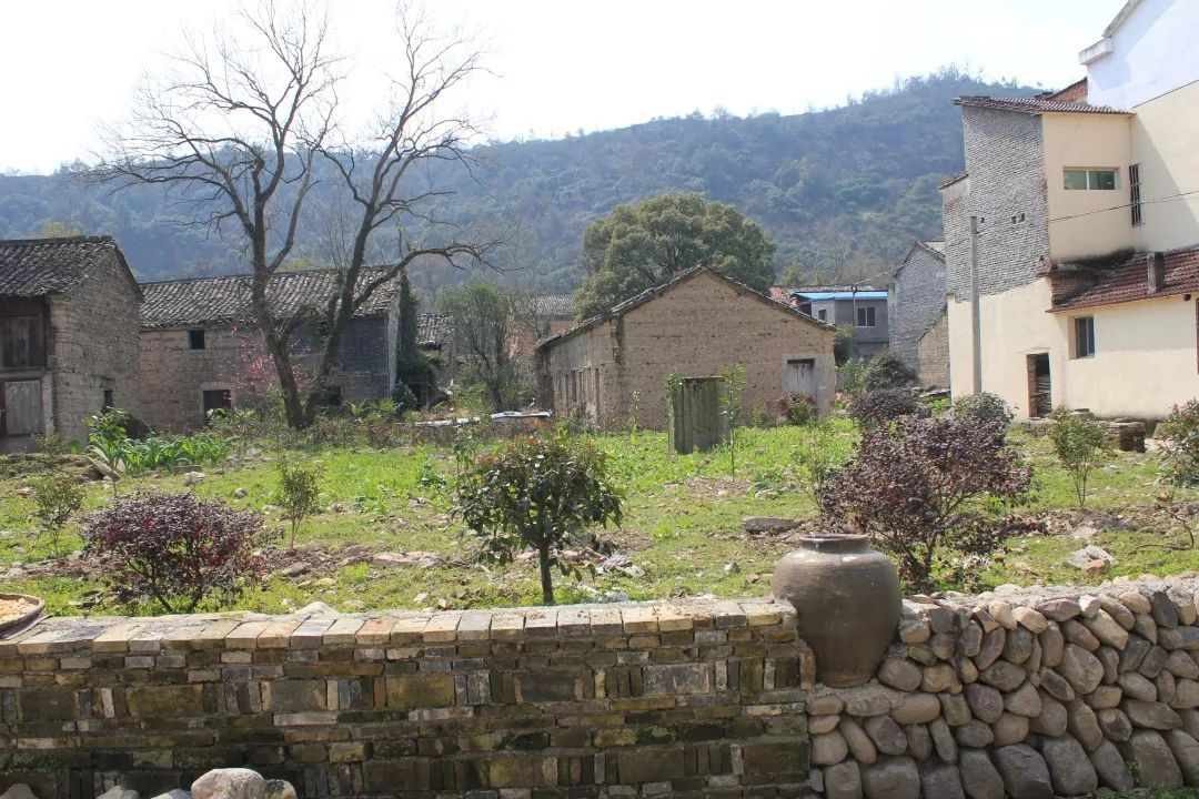 1993年，浙江女子给3名小乞丐30元路费，20年后乞丐拿一百万报恩