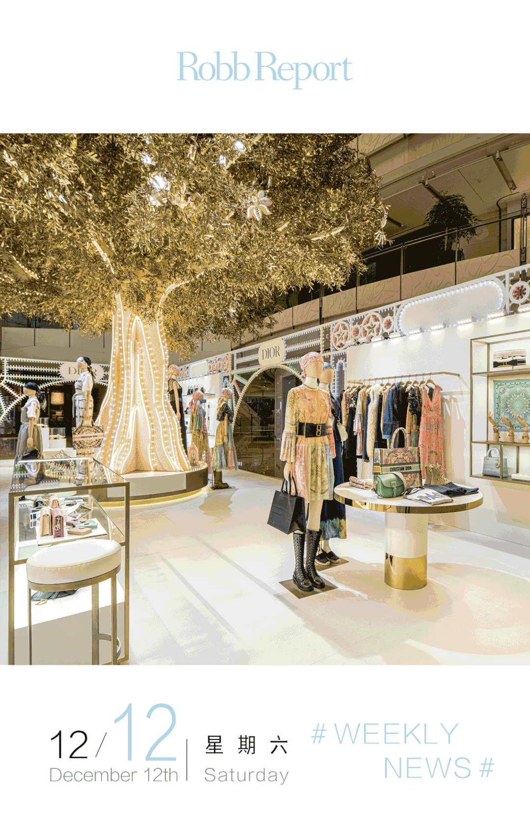 代理找利佲圈（RR）