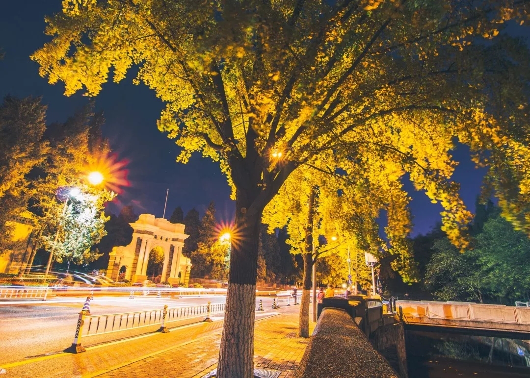 “中国”一词从哪里来？快去清华大学这个地方看答案