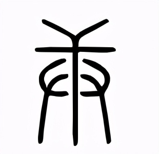 汉字基础——天干地支的起源（二）