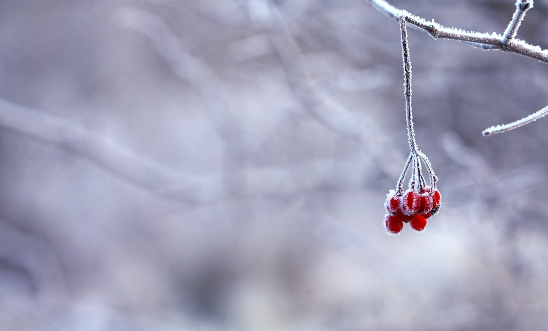 20首最经典的冬天诗词：踏着冬的脚步，品味古人笔下的冬天
