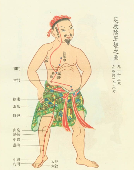 《内经》系列阳痿之一《内经》论阴茎生理