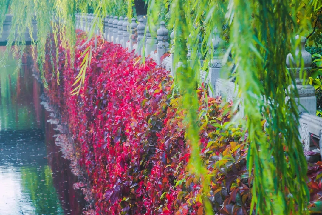 “中国”一词从哪里来？快去清华大学这个地方看答案