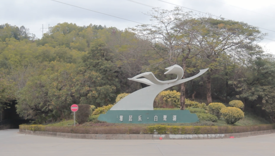 南都记者走访市区部分确诊病例活动区域，赶紧来看下它们怎么防疫