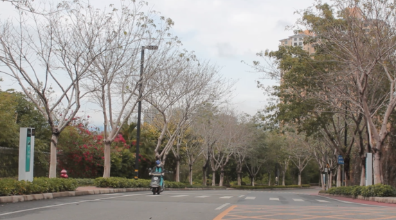 南都记者走访市区部分确诊病例活动区域，赶紧来看下它们怎么防疫