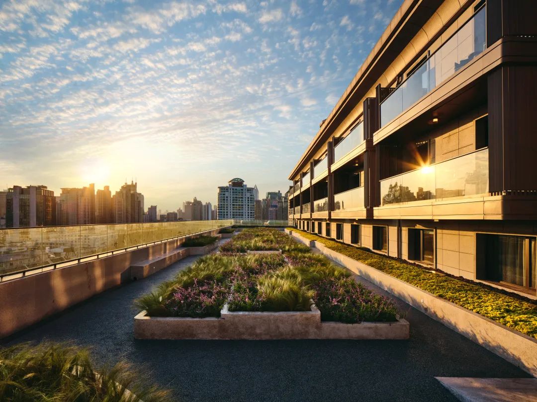 RR · NEWS | 2020年末，热点持续加速中