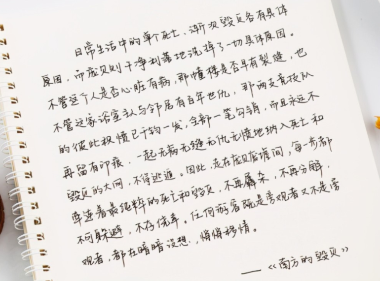 高中生"鲸落字体"走红,字迹唯美清新脱俗,老师看后舍不得扣分