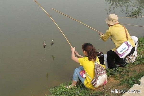 小龙虾的垂钓方法，方法简单好操作，一个小时钓一大桶