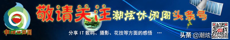 win10如何打开注册表（初步了解Windows10系统注册表）