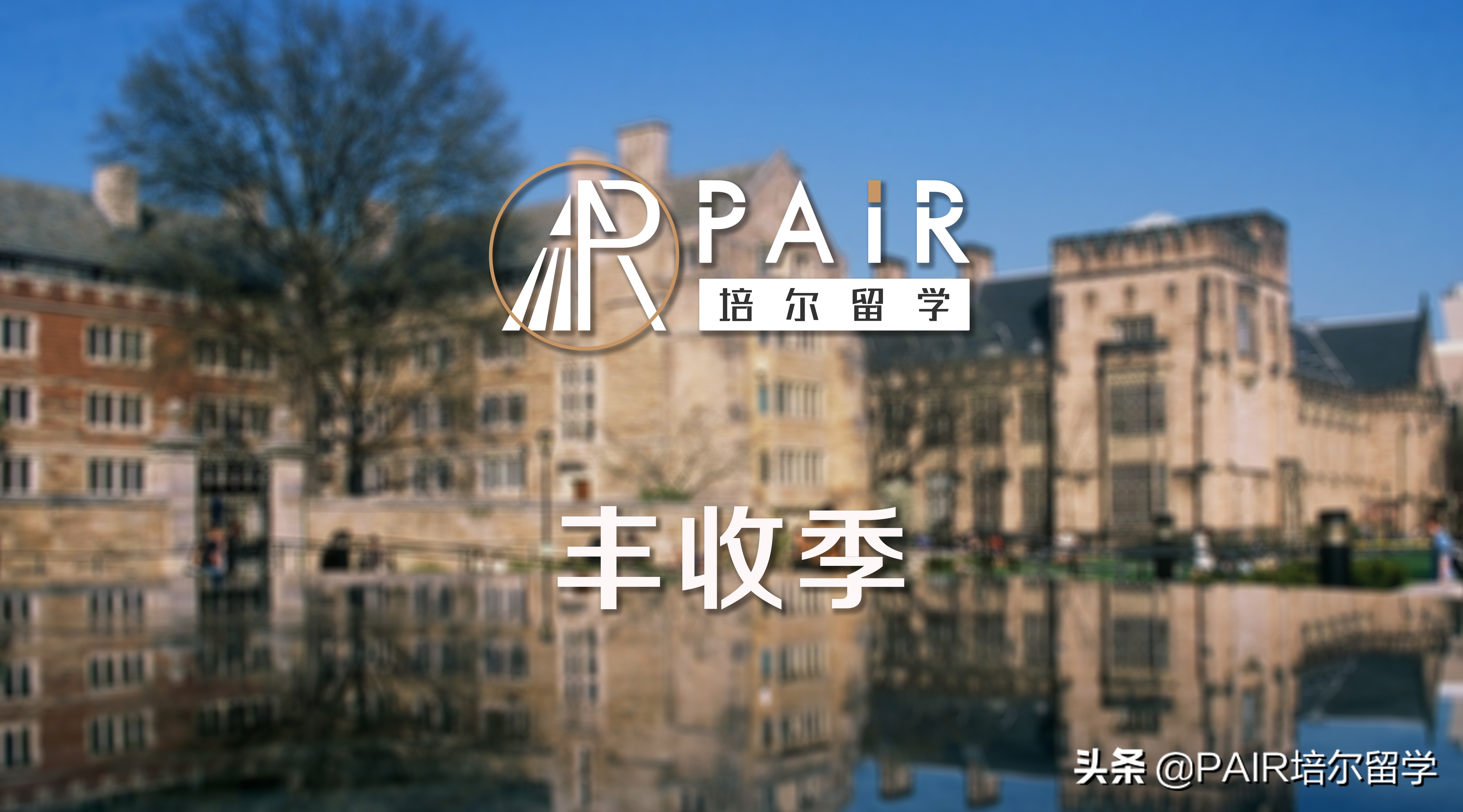 丰收季 | 春天来了，老朋友耶鲁也如期而至