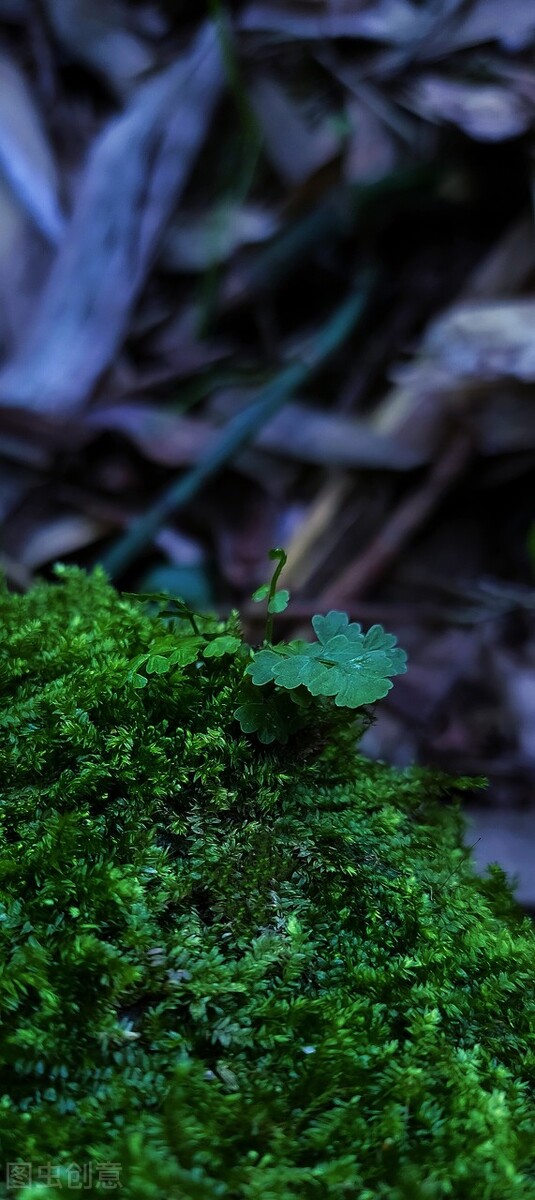 酒后最适合发朋友圈的惊艳文案，最后一个小编最喜欢