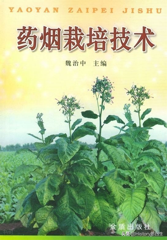 吸烟史话：抽了二十年烟，竟然不知道烟草有多少种？