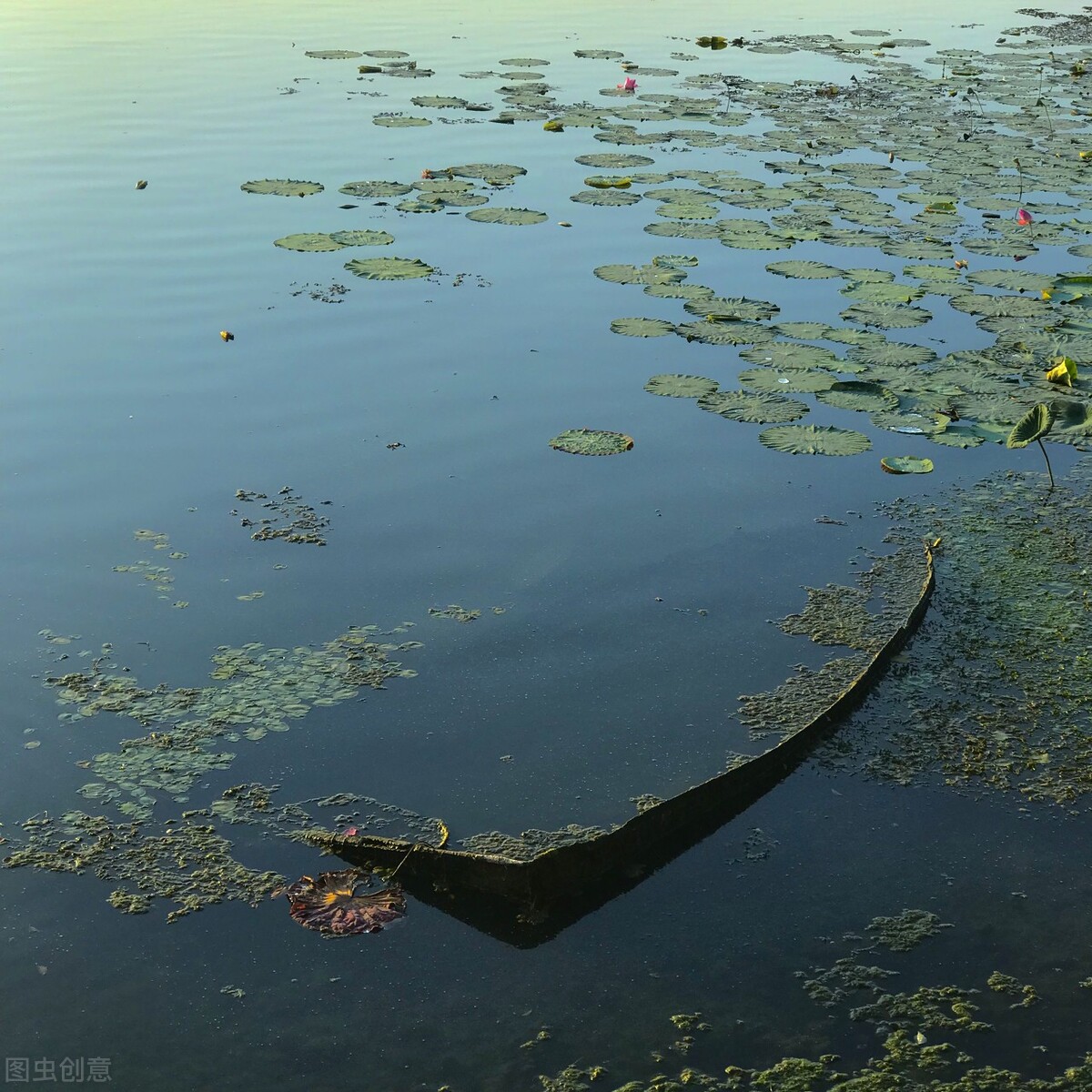 酒后最适合发朋友圈的惊艳文案，最后一个小编最喜欢