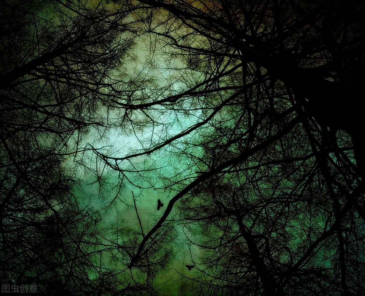 酒后最适合发朋友圈的惊艳文案，最后一个小编最喜欢