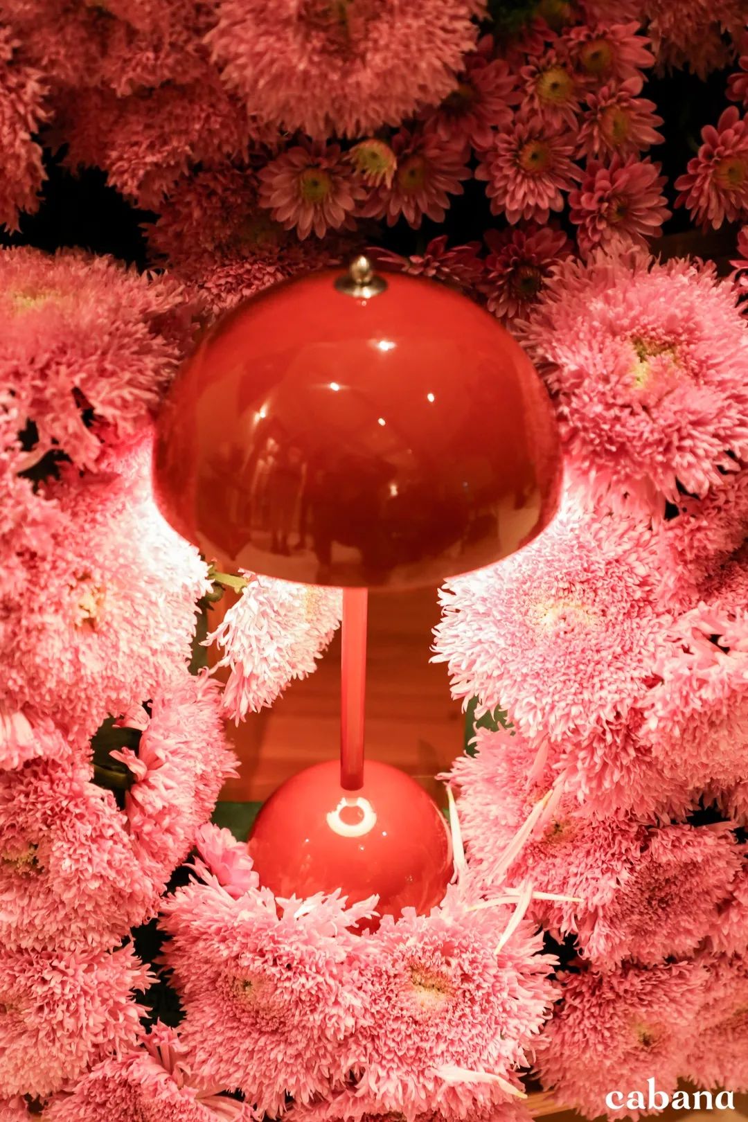 RR · NEWS | 2020年末，热点持续加速中