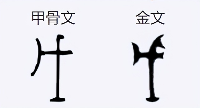 汉字基础——天干地支的起源（二）