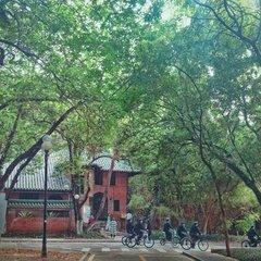 中山大学2015-2017录取分数线