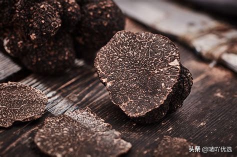 奇幻食材"黑松露" 餐桌上的黑钻石!