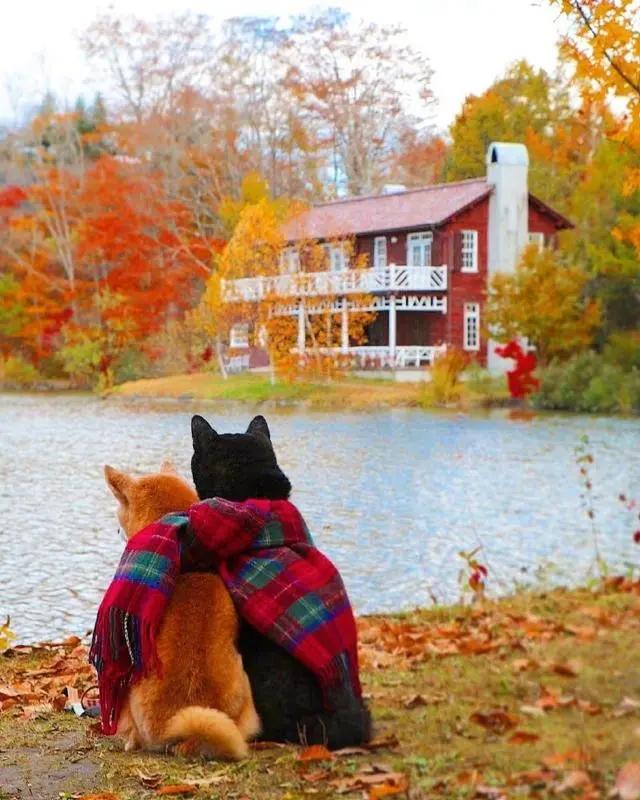 触动男人内心深处的情感语录