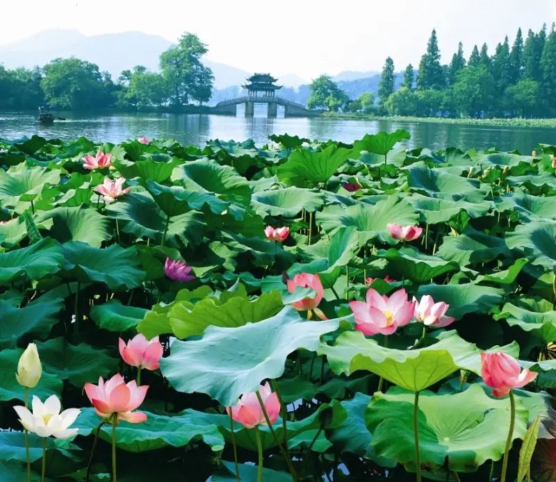 中国自然园林之最--西湖十景