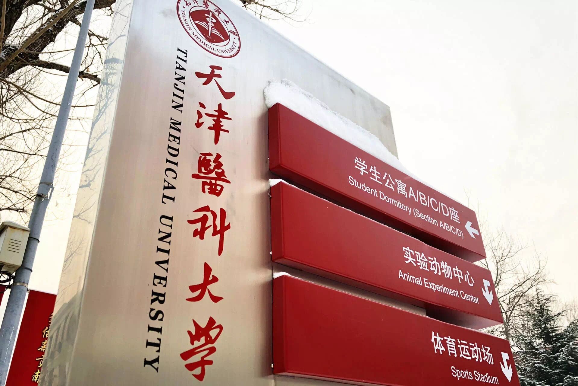 医学专业分两类，报考策略差别大，就业方向各不同