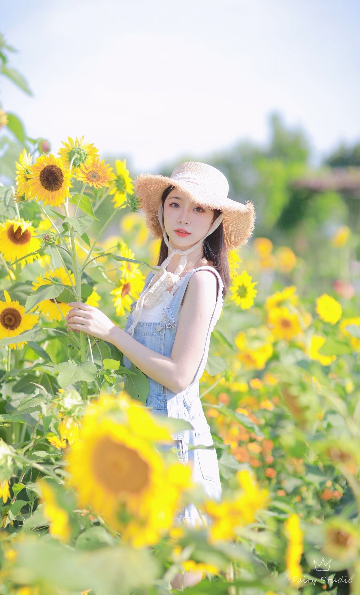 向日葵人像拍摄技巧 收好这份拍摄攻略 拍照景美人更美 环球艺站