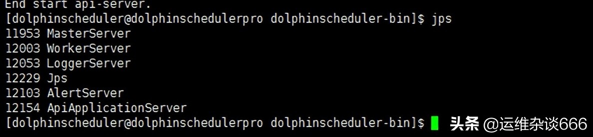 DolphinScheduler安装部署并使用「详细」
