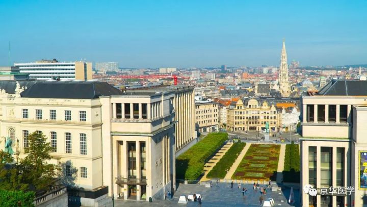 德国医学院校简介