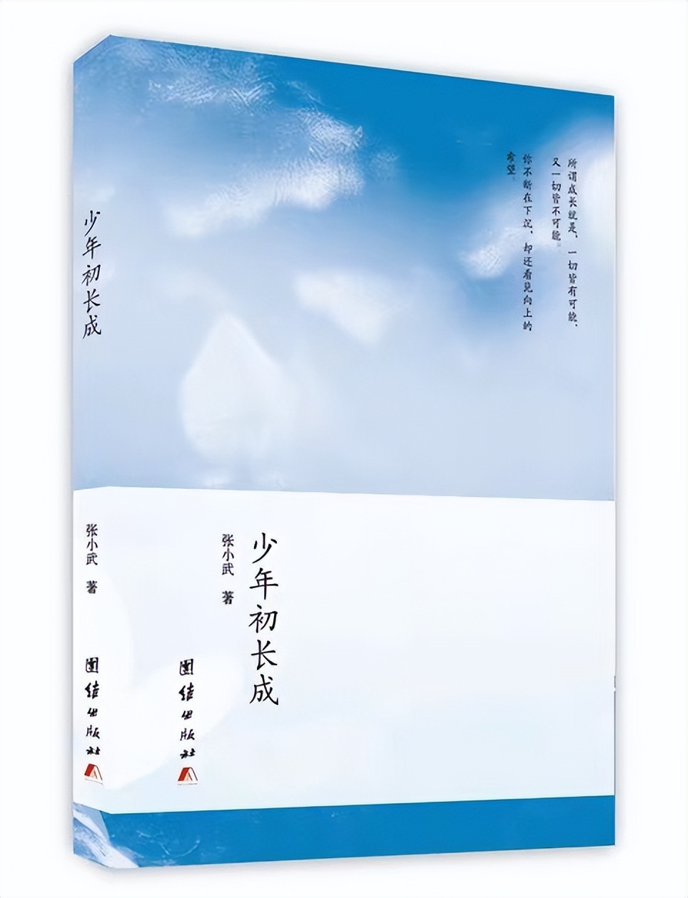 作家张小武“成长三部曲”终曲《别人家的孩子和我》正式推出