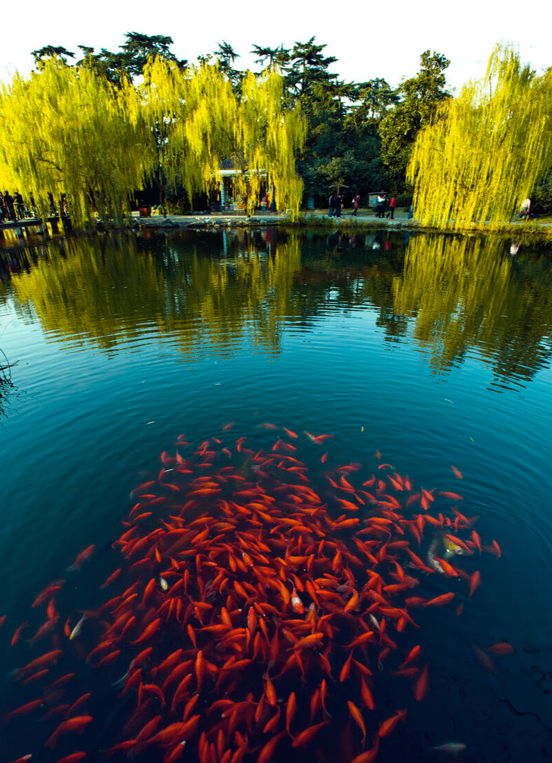 中国自然园林之最--西湖十景