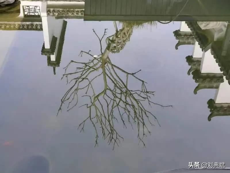 写作到底有多赚钱？我只说我两个朋友的例子