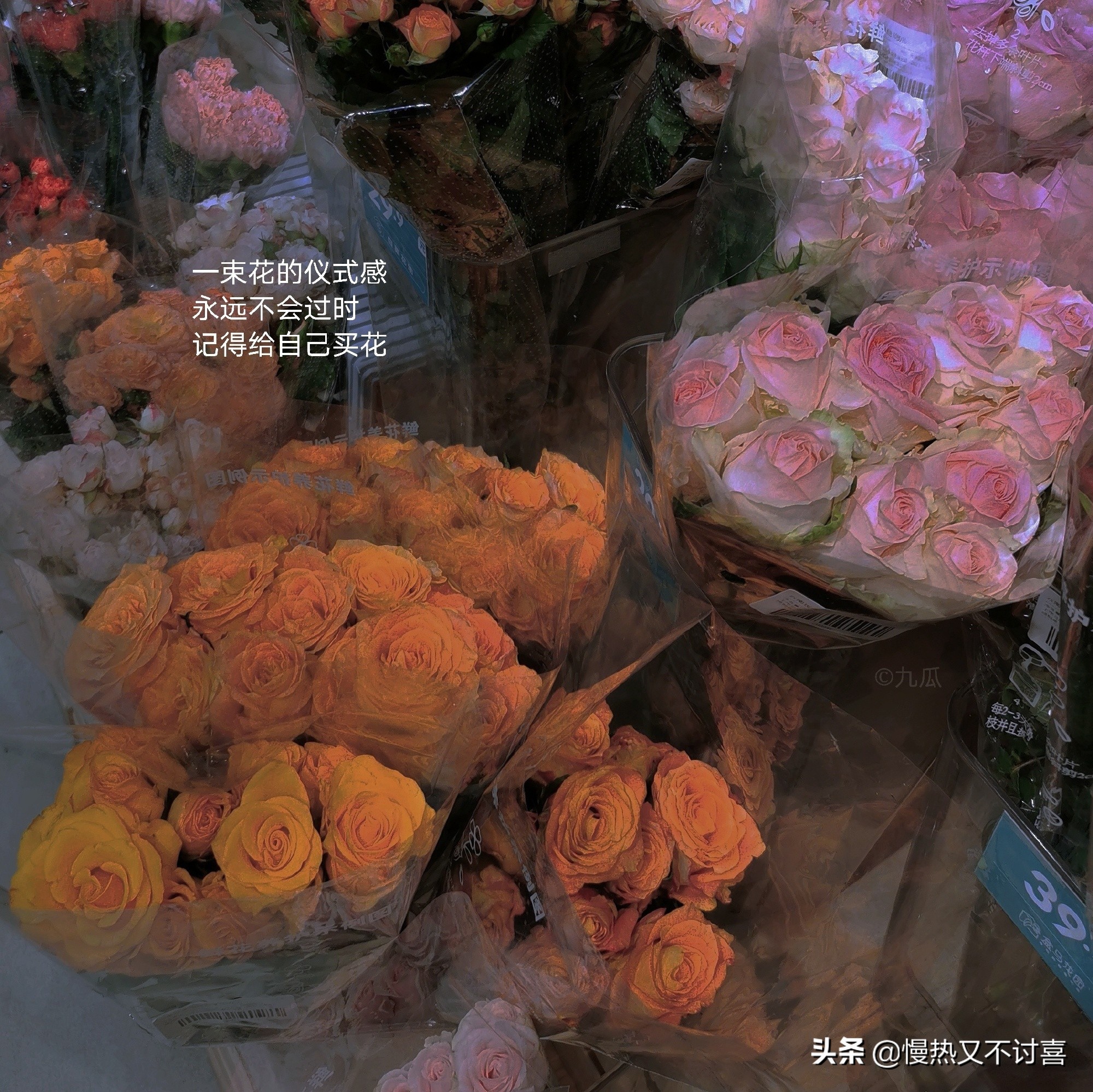 超治愈人心的友谊文案｜姐妹是树 只有姐妹靠得住