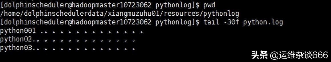 DolphinScheduler安装部署并使用「详细」