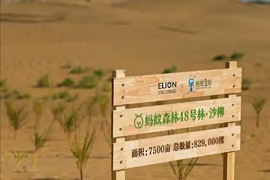 马云曾被质疑“作秀”，要在沙漠种1亿棵树，6年已过，兑现了吗？