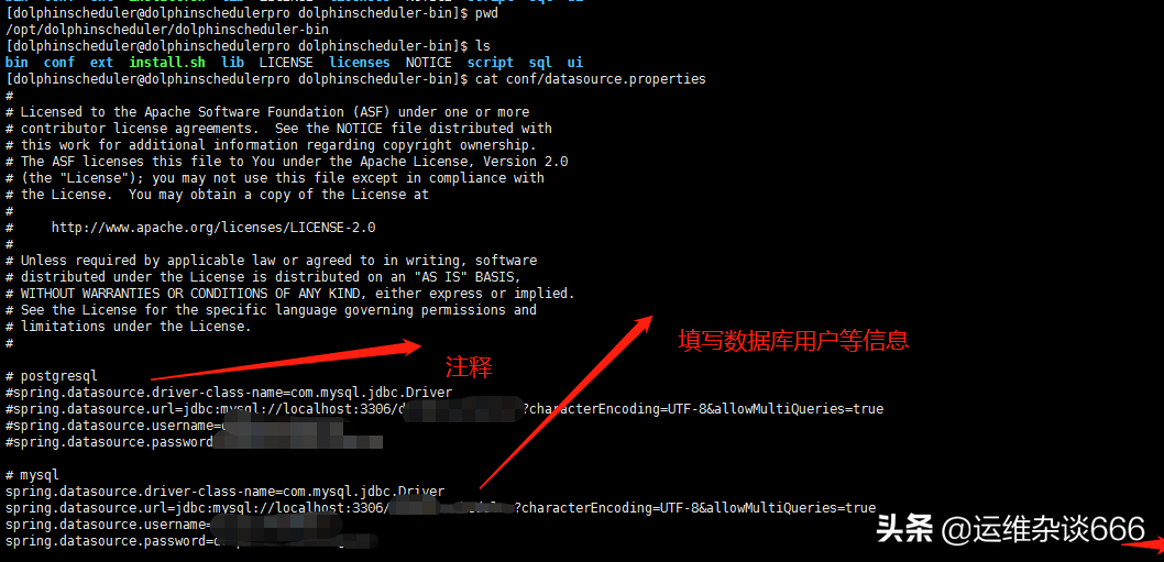 DolphinScheduler安装部署并使用「详细」